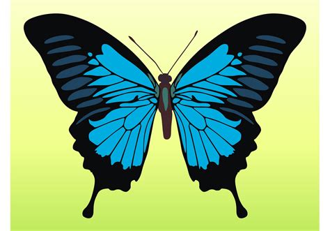 butterfly vector images|butterfly illustrations free.